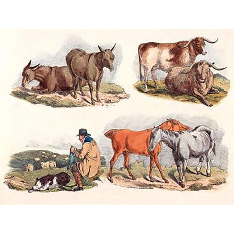 Knitting Shepherd, 1817 Black Modern Wood Framed Art Print with Double Matting by Alken, Henry Thomas