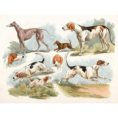 Hunting Dogs, 1817 Black Modern Wood Framed Art Print with Double Matting by Alken, Henry Thomas