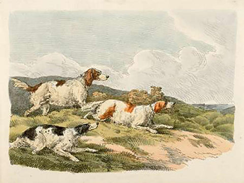Running Hounds, 1817 White Modern Wood Framed Art Print with Double Matting by Alken, Henry Thomas