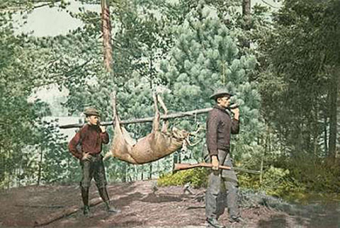 Hunting, Adirondacks, N.Y., 1898 White Modern Wood Framed Art Print with Double Matting by Detroit Publishing Co.