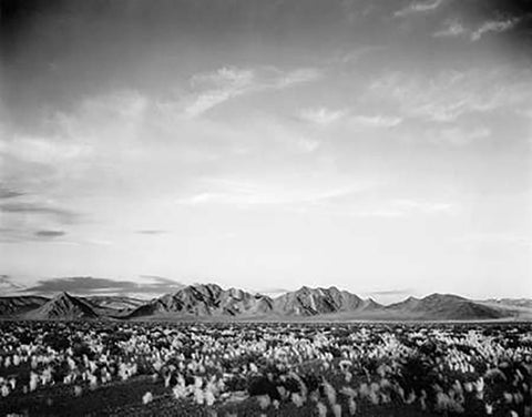 Distant mountains: desert and shrubs in foreground near Death Valley National Monument, California - Black Ornate Wood Framed Art Print with Double Matting by Adams, Ansel