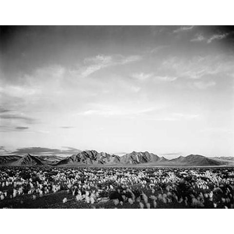 Distant mountains: desert and shrubs in foreground near Death Valley National Monument, California - Gold Ornate Wood Framed Art Print with Double Matting by Adams, Ansel