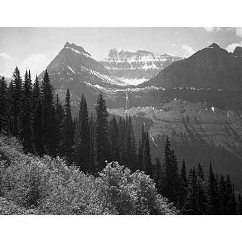 Trees, Bushes and Mountains, Glacier National Park, Montana - National Parks and Monuments, 1941 Black Modern Wood Framed Art Print with Double Matting by Adams, Ansel