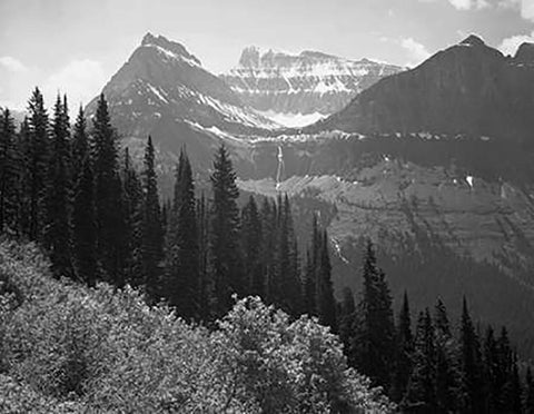 Trees, Bushes and Mountains, Glacier National Park, Montana - National Parks and Monuments, 1941 Black Ornate Wood Framed Art Print with Double Matting by Adams, Ansel