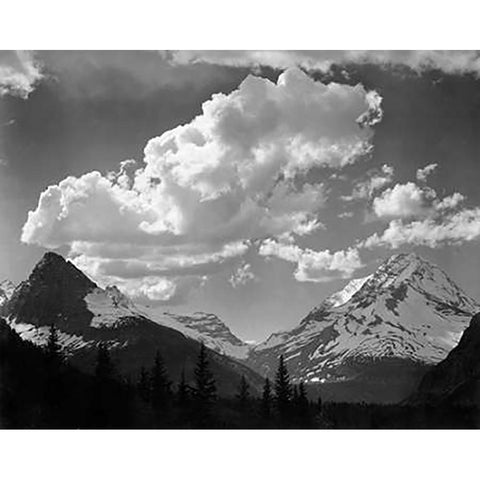 Trees in Glacier National Park, Montana - National Parks and Monuments, 1941 White Modern Wood Framed Art Print by Adams, Ansel