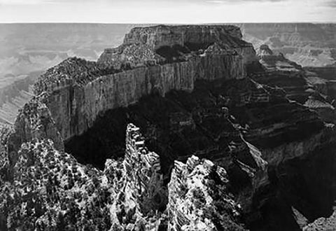 Close-in view of curred cliff, Grand Canyon National Park, Arizona, 1941 Black Ornate Wood Framed Art Print with Double Matting by Adams, Ansel