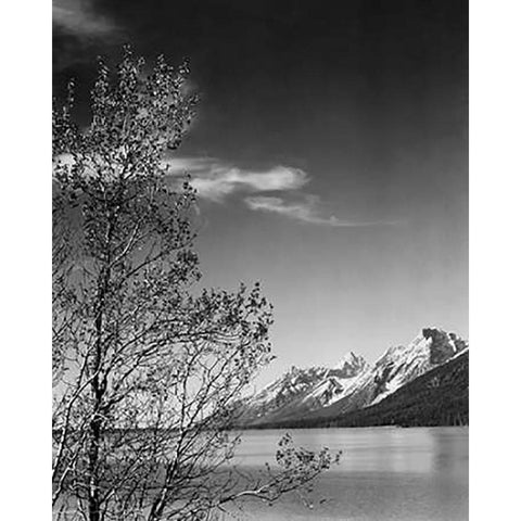 View of mountains with tree in foreground, Grand Teton National Park, Wyoming, 1941 Black Modern Wood Framed Art Print by Adams, Ansel