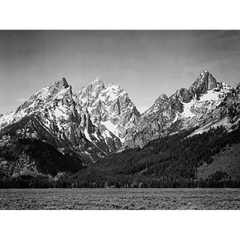 Grassy valley and snow covered peaks, Grand Teton National Park, Wyoming, 1941 Gold Ornate Wood Framed Art Print with Double Matting by Adams, Ansel