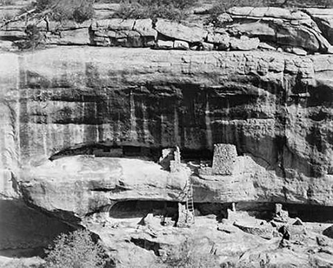 Cliff dwellings, Mesa Verde National Park, Colorado, 1941 Black Ornate Wood Framed Art Print with Double Matting by Adams, Ansel