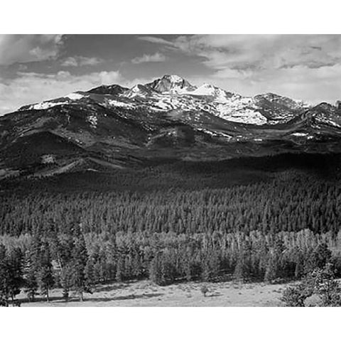 Trees in foreground, snow covered mountain in background, in Rocky Mountain National Park, Colorado, Gold Ornate Wood Framed Art Print with Double Matting by Adams, Ansel