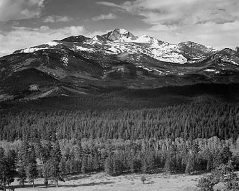 Trees in foreground, snow covered mountain in background, in Rocky Mountain National Park, Colorado, White Modern Wood Framed Art Print with Double Matting by Adams, Ansel