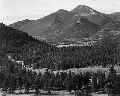 View with trees in foreground, barren mountains in background, in Rocky Mountain National Park, Colo Black Ornate Wood Framed Art Print with Double Matting by Adams, Ansel