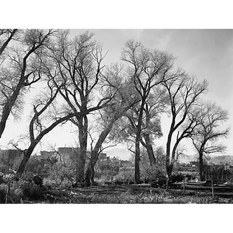 At Taos Pueblo National Historic Landmark, New Mexico, ca. 1941-1942 Gold Ornate Wood Framed Art Print with Double Matting by Adams, Ansel