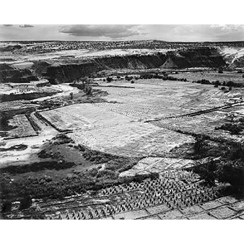 Corn Field, Indian Farm near Tuba City, Arizona, in Rain, 1941 Black Modern Wood Framed Art Print with Double Matting by Adams, Ansel