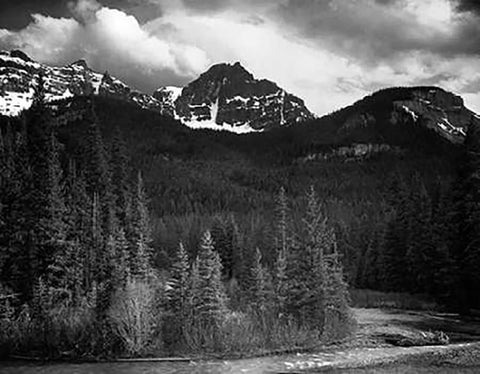 View of streamside trees and snow on mountains - Northeast Portion, Yellowstone National Park, Wyomi Black Ornate Wood Framed Art Print with Double Matting by Adams, Ansel