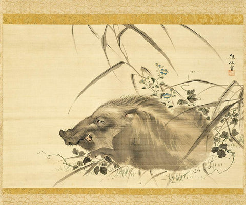 Wild Boar amidst Autumn Flowers and Grasses White Modern Wood Framed Art Print with Double Matting by Sosen, Mori