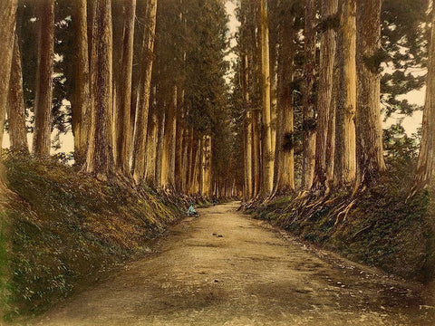 View of Imaichi White Modern Wood Framed Art Print with Double Matting by 19th Century Japanese Photographer