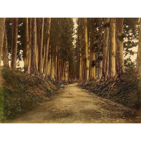 View of Imaichi White Modern Wood Framed Art Print by 19th Century Japanese Photographer