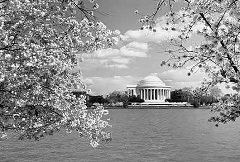 Jefferson Memorial with cherry blossoms, Washington, D.C. - Black and White Variant Black Ornate Wood Framed Art Print with Double Matting by Highsmith, Carol