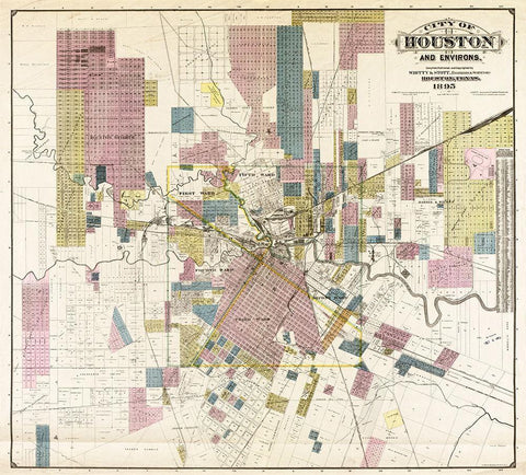City of Houston and environs, 1895 Black Ornate Wood Framed Art Print with Double Matting by Whitty and Stott,