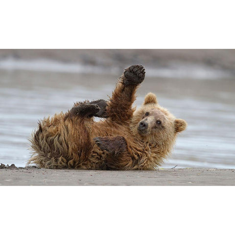 High Five Gold Ornate Wood Framed Art Print with Double Matting by Forns, Alfred