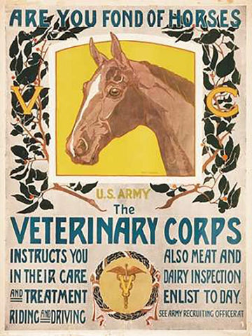 Are You Fond of Horses, 1919 Black Ornate Wood Framed Art Print with Double Matting by SMuseumeck, Horst