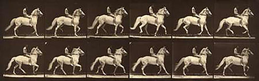 Image Only