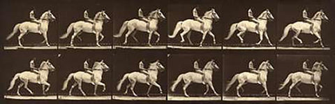 Motion Study: Man Riding A Horse Black Ornate Wood Framed Art Print with Double Matting by Muybridge, Eadweard