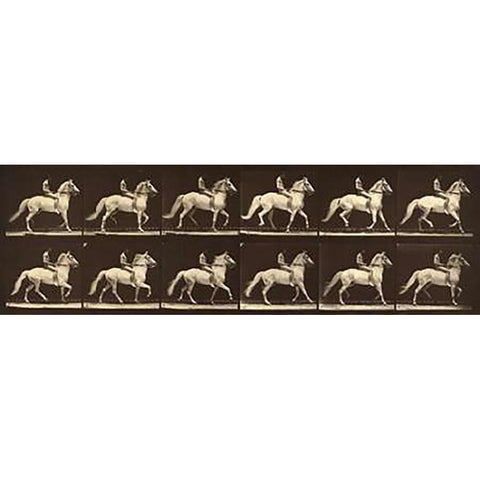 Motion Study: Man Riding A Horse Gold Ornate Wood Framed Art Print with Double Matting by Muybridge, Eadweard