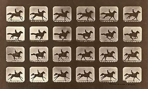 Motion Study: Man Riding A Galloping Horse White Modern Wood Framed Art Print with Double Matting by Muybridge, Eadweard