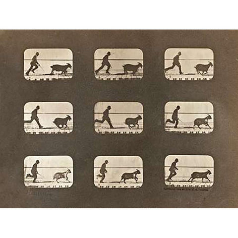Motion Study: Man Chasing A Goat Gold Ornate Wood Framed Art Print with Double Matting by Muybridge, Eadweard