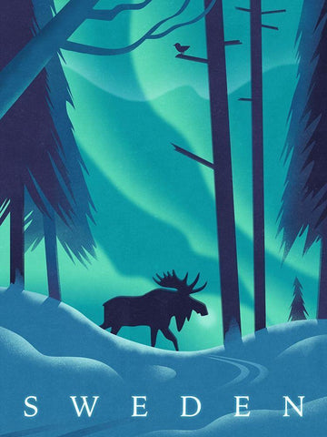 Sweden - Moose White Modern Wood Framed Art Print with Double Matting by Wickstrom, Martin
