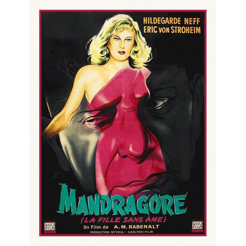 French - Mandragore Black Modern Wood Framed Art Print with Double Matting by Hollywood Photo Archive