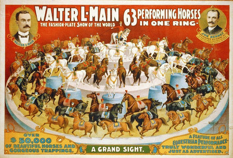 63 Performing Horses - 1899 White Modern Wood Framed Art Print with Double Matting by Hollywood Photo Archive