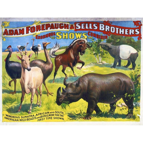 Adam Forepaugh and Sells Brothers Enormous Shows Combined - Wondrous Sumatra, African And South-Amer Black Modern Wood Framed Art Print with Double Matting by Hollywood Photo Archive