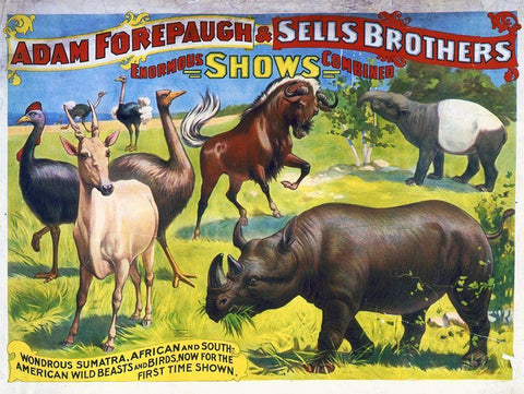 Adam Forepaugh and Sells Brothers Enormous Shows Combined - Wondrous Sumatra, African And South-Amer Black Ornate Wood Framed Art Print with Double Matting by Hollywood Photo Archive