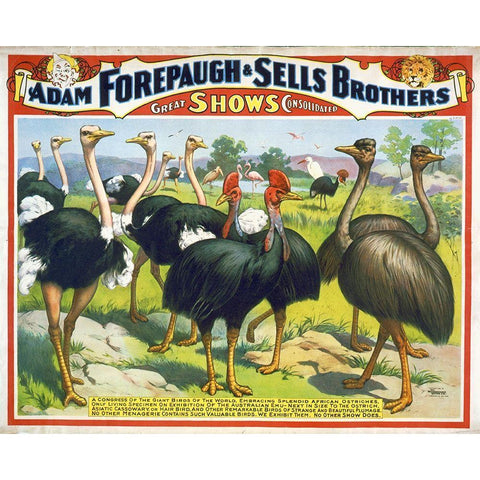 Adam Forepaugh and Sells Brothers Giant Birds Gold Ornate Wood Framed Art Print with Double Matting by Hollywood Photo Archive