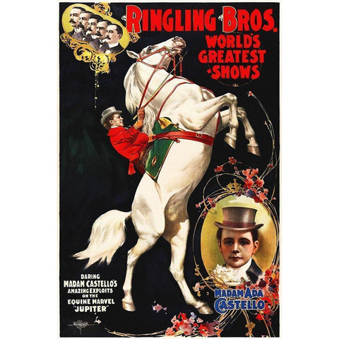 Madam Ada Castello And Jupiter, Poster For Ringling Brothers, Ca -  1899 Gold Ornate Wood Framed Art Print with Double Matting by Hollywood Photo Archive