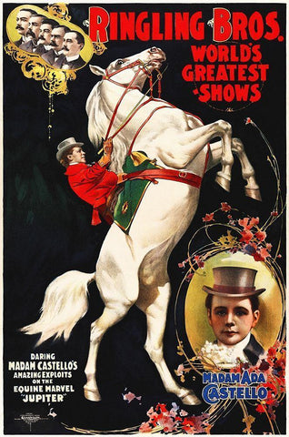 Madam Ada Castello And Jupiter, Poster For Ringling Brothers, Ca -  1899 White Modern Wood Framed Art Print with Double Matting by Hollywood Photo Archive