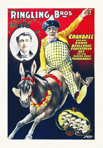 Ringling Bros - Crandall And His Comic Burlesque Equestrian Act On His Riding Mule Thunderbolt White Modern Wood Framed Art Print with Double Matting by Hollywood Photo Archive