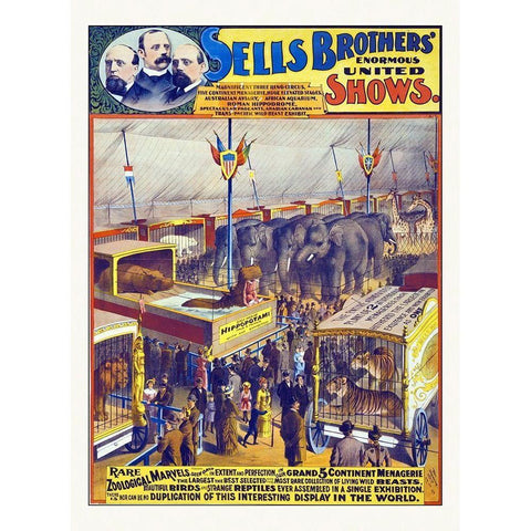 Sells Brothers Enormous United Shows--Rare Zoological Marvels - 1895 Black Modern Wood Framed Art Print with Double Matting by Hollywood Photo Archive