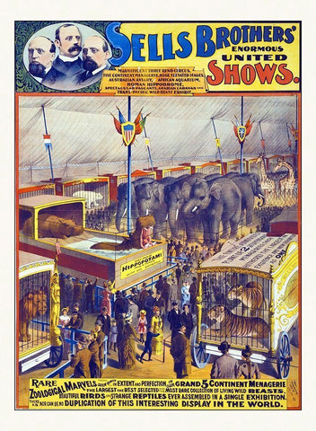 Sells Brothers Enormous United Shows--Rare Zoological Marvels - 1895 White Modern Wood Framed Art Print with Double Matting by Hollywood Photo Archive