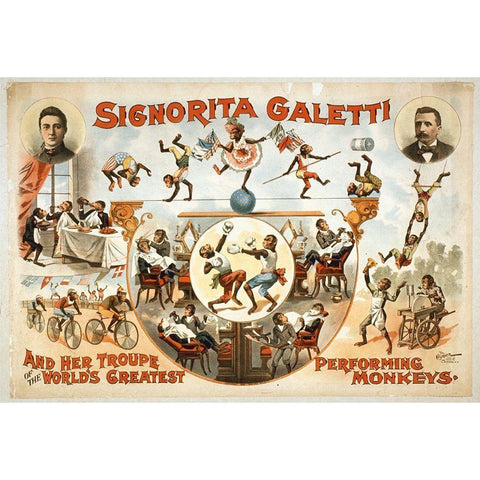 Signorita Galetti Performing Monkeys Gold Ornate Wood Framed Art Print with Double Matting by Hollywood Photo Archive