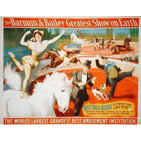 The Barnum and Bailey Greatest Show On Earth - Miss Rose Meers, The Greatest Living Lady Rider - 189 White Modern Wood Framed Art Print by Hollywood Photo Archive