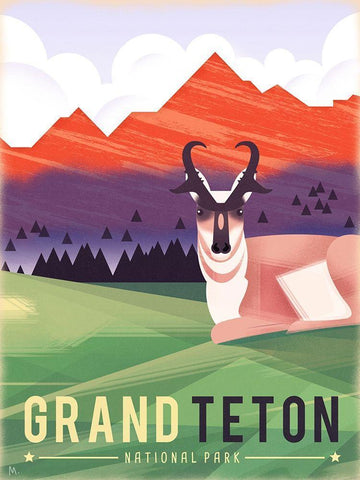 Grand Teton National Park Black Ornate Wood Framed Art Print with Double Matting by Wickstrom, Martin