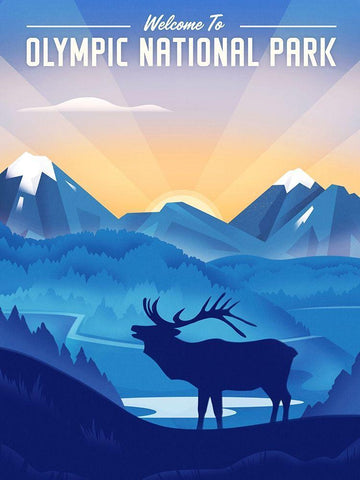 Olympic National Park - Elk White Modern Wood Framed Art Print with Double Matting by Wickstrom, Martin
