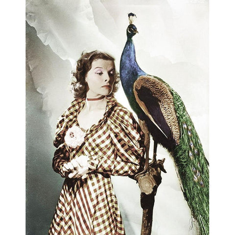 Katherine Hepburn with Peacock Black Modern Wood Framed Art Print with Double Matting by Hollywood Photo Archive