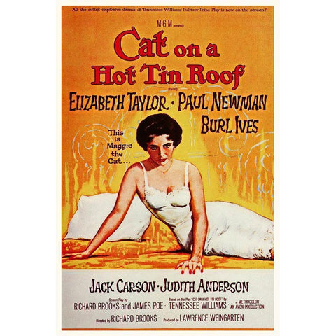 Elizabeth Taylor - Cat on a Hot Tin Roof White Modern Wood Framed Art Print by Hollywood Photo Archive