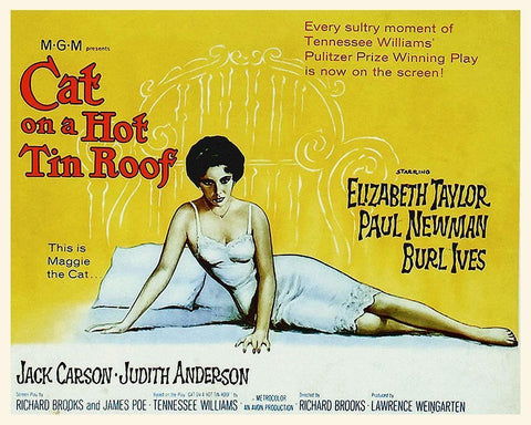 Elizabeth Taylor - Cat on a Hot Tin Roof White Modern Wood Framed Art Print with Double Matting by Hollywood Photo Archive