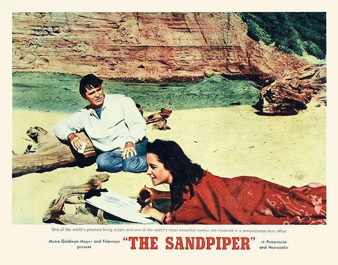 Elizabeth Taylor - Sandpiper - Lobby Card Black Ornate Wood Framed Art Print with Double Matting by Hollywood Photo Archive